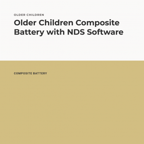 Older Children Composite Battery with NDS Software