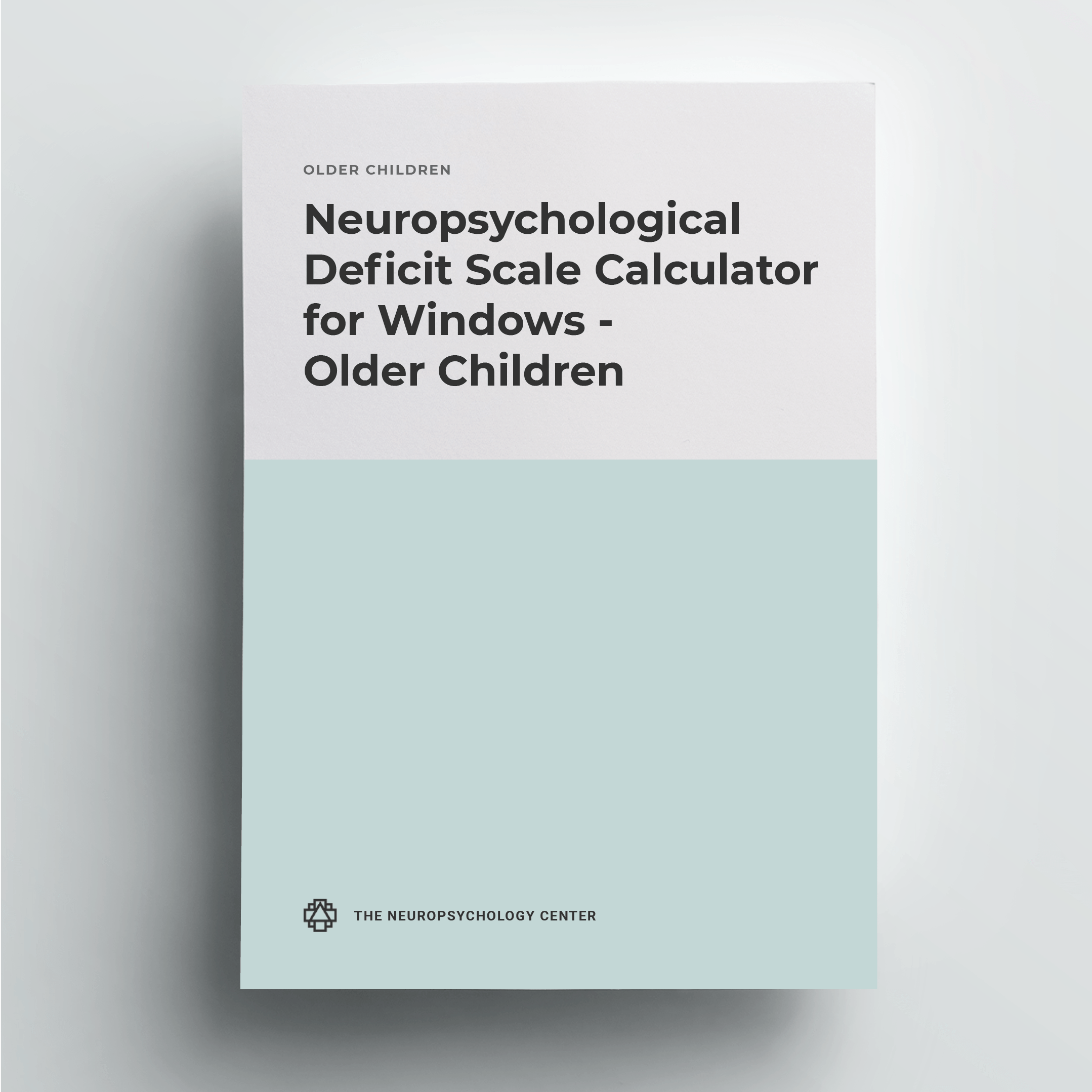 Neuropsychological Deficit Scale Calculator program for Windows – Older Children