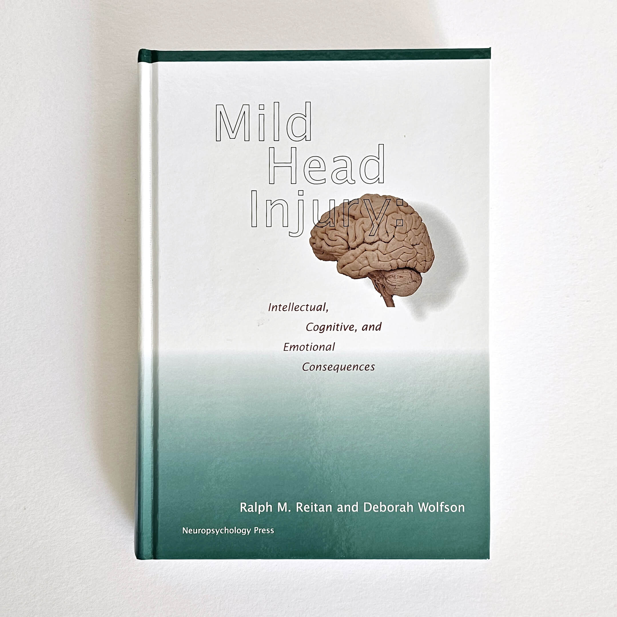 Mild Head Injury: Intellectual, Cognitive and Emotional Consequences